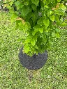 IMG_4063.webp