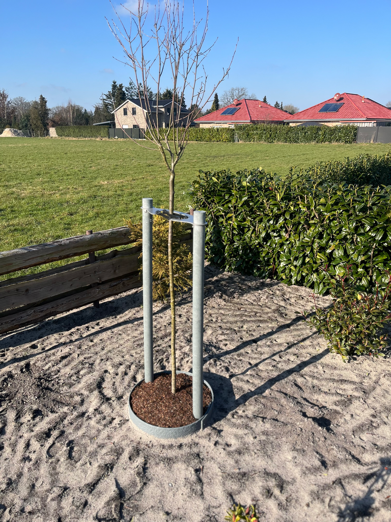 CB24 Hütefix Komplett-Set 2-Bock